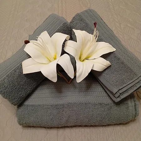 Grifo * ヴェルナッツァ